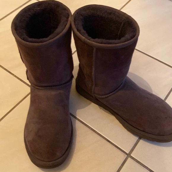 UGG Shoes Dark Brown Short Uggs Poshmark